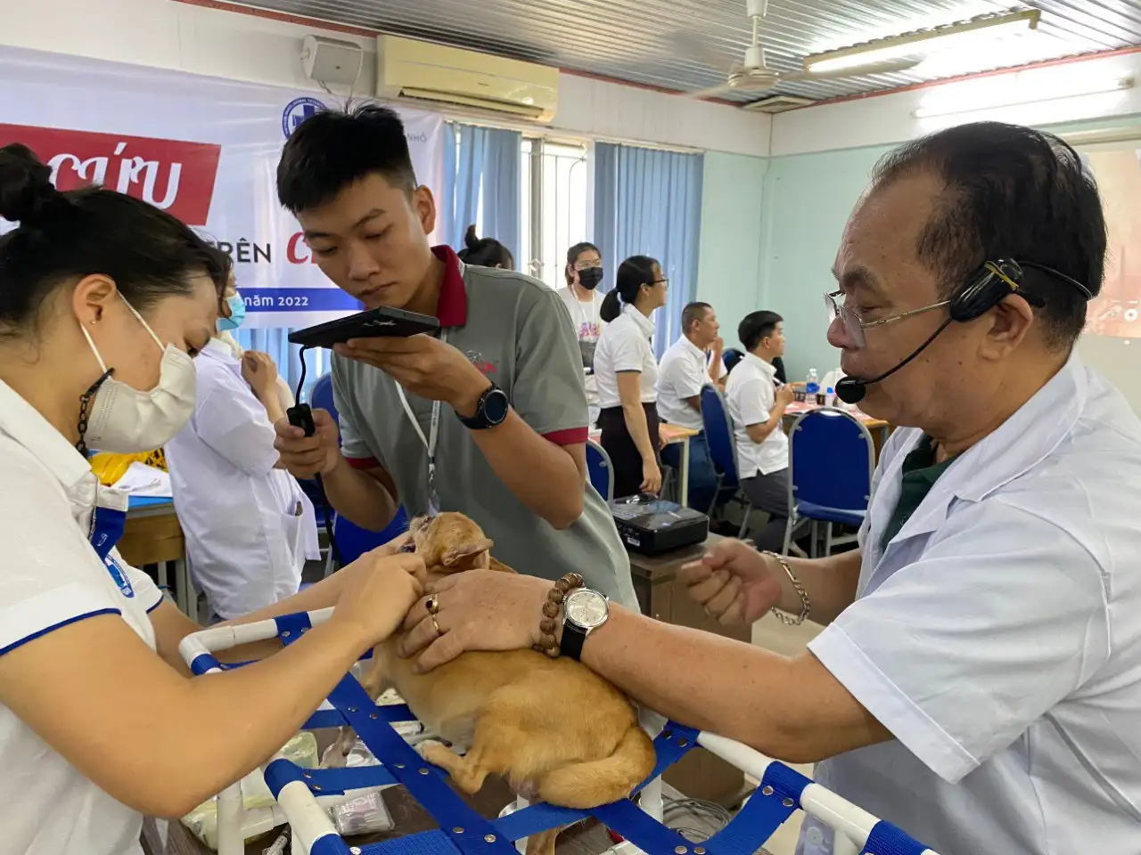 Ngành thú y - Cơ hội nghề nghiệp hấp dẫn Ngành thú y – Cơ hội nghề nghiệp hấp dẫn