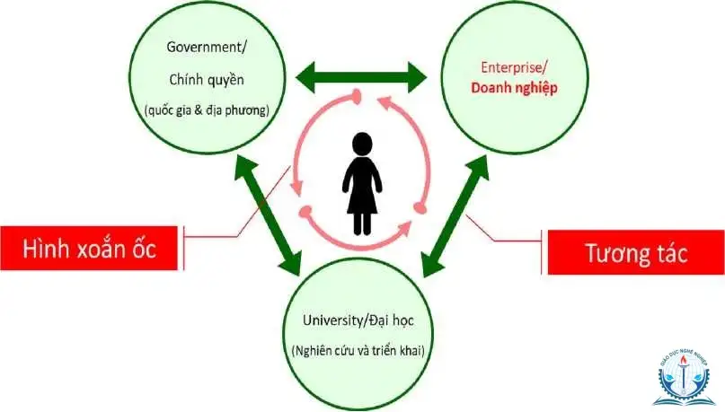 Mô hình Doanh nghiệp trong Trường Đại học Mô hình Doanh nghiệp trong Trường Đại học