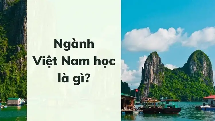 Việt Nam học là ngành gì? Tìm hiểu chi tiết cho tân sinh viên năm 2025