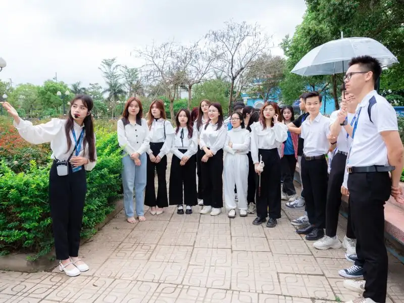 Việt Nam học là ngành gì? Tìm hiểu chi tiết cho tân sinh viên năm 2025