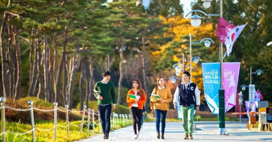 Du học Hàn Quốc nên học ngành gì? Top 10 ngành học tiềm năng nhất