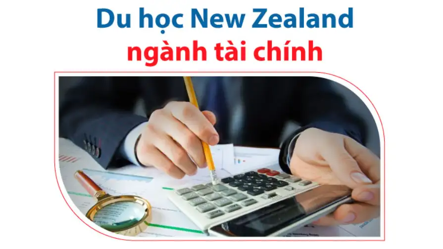 Du học New Zealand nên học ngành gì? Đánh giá từ A-Z