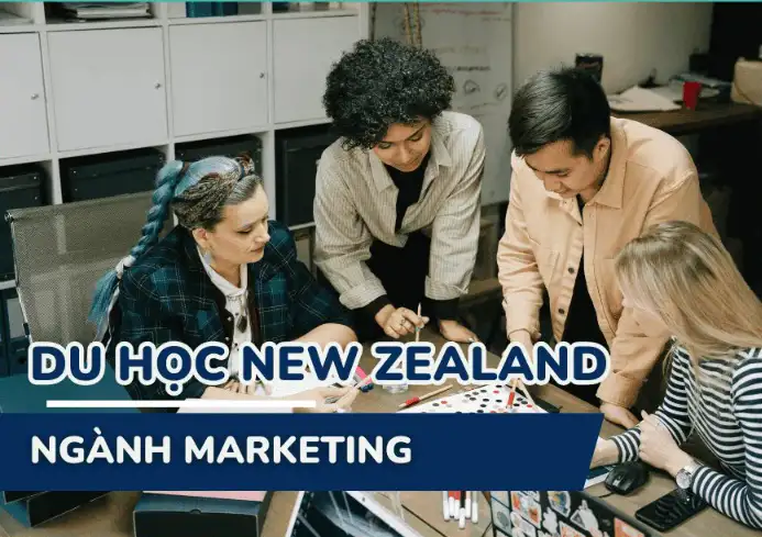 Du học New Zealand nên học ngành gì? Đánh giá từ A-Z
