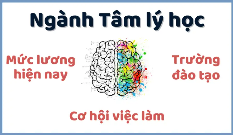 Ngành tâm lý học thi khối gì? Những điều cần biết khi chọn ngành Tâm lý học