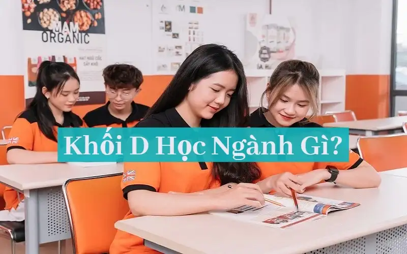 Khối D học ngành gì? Học gì và cơ hội nghề nghiệp năm 2025