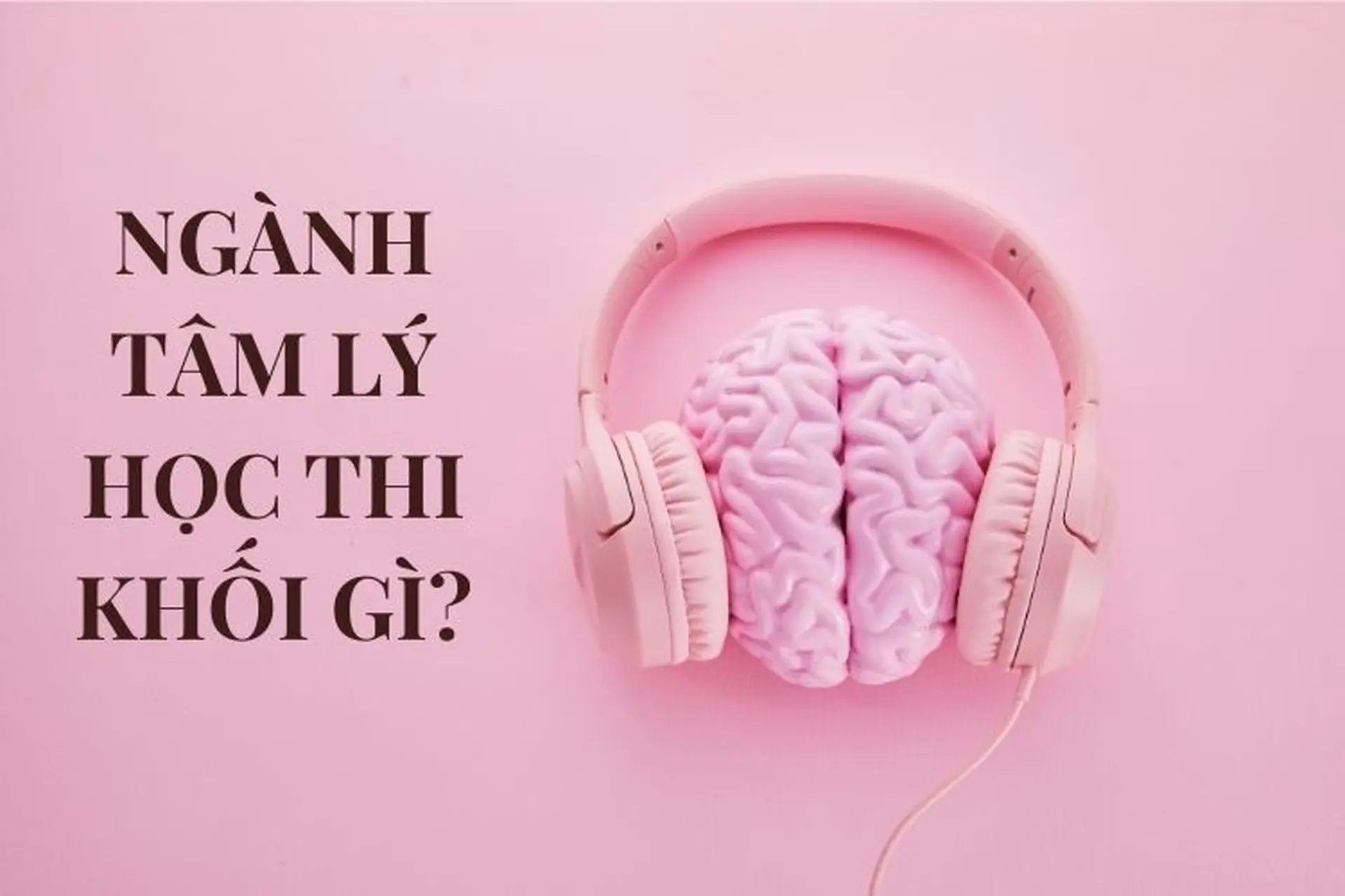 Ngành tâm lý học thi khối gì? Những điều cần biết khi chọn ngành Tâm lý học