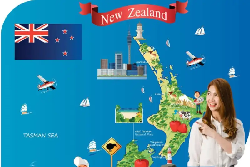 Du học New Zealand nên học ngành gì? Đánh giá từ A-Z