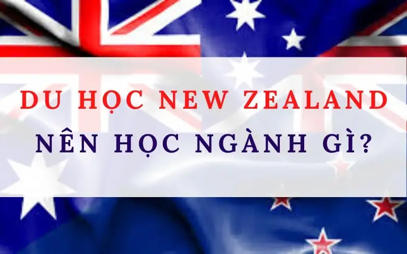 Du học New Zealand nên học ngành gì? Đánh giá từ A-Z