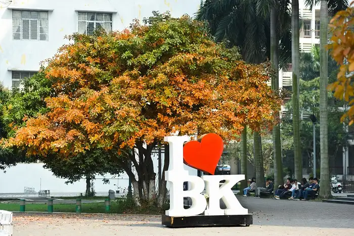 Bách Khoa nên học ngành gì? Hướng dẫn chọn ngành phù hợp năm 2025