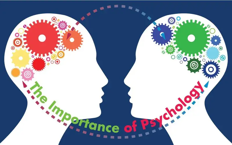 Toán Văn Anh học ngành gì? Gợi ý chọn ngành phù hợp với tổ hợp D01