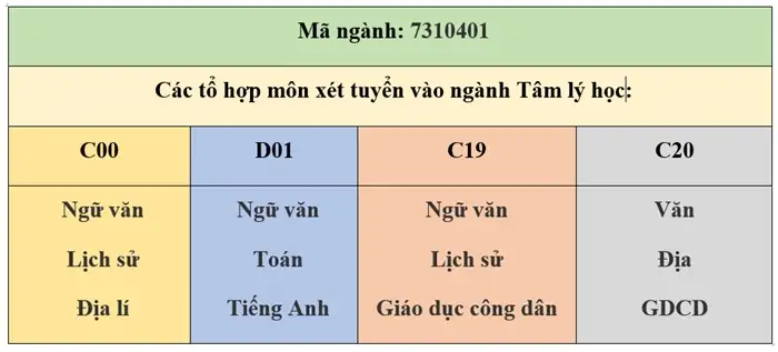 Ngành tâm lý học là gì? Cơ hội nghề nghiệp 2025