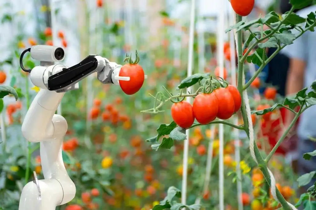 Du Học Hà Lan nên học ngành gì? Hướng dẫn chọn ngành phù hợp năm 2025