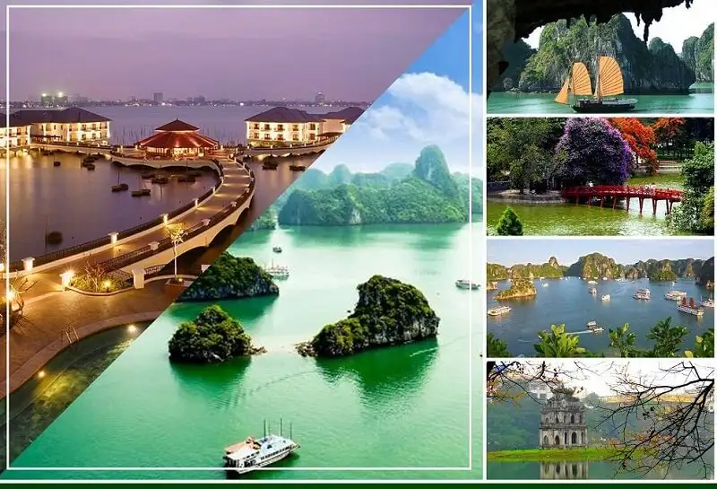 Ngành Việt Nam học làm gì? Tìm hiểu chi tiết cho người mới