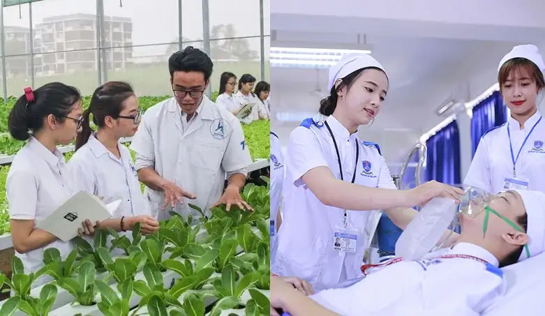 Khối B học ngành gì? Định hướng nghề nghiệp năm 2025