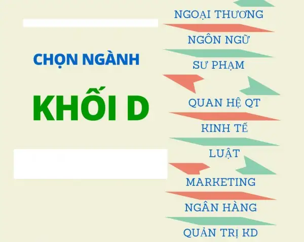Khối D nên học ngành gì? Cơ hội nghề nghiệp hấp dẫn năm 2025