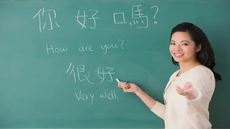 Ngành ngôn ngữ học là gì? Khám phá tiềm năng và cơ hội nghề nghiệp 4.0