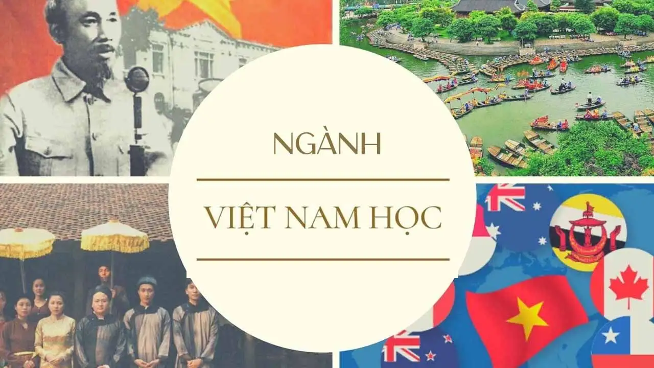 Ngành Việt Nam học làm gì? Tìm hiểu chi tiết cho người mới Ngành Việt Nam học làm gì? Tìm hiểu chi tiết cho người mới